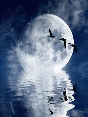 Moon Above the Water