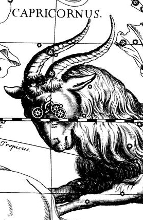 Detail from Capricornus, from Johannes Hevelius's  Uranographia, 1690.
