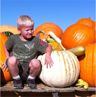 Pumpkin Boy. © Osk Ingad Alden, 2013.