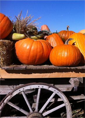 Signs of Fall. © Osk Ingad Alden, 2013.