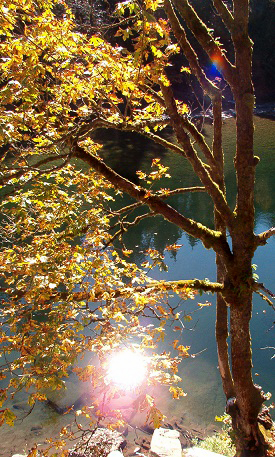 Autumn on the Wenatchee. © Pat Paquette, 2013.
