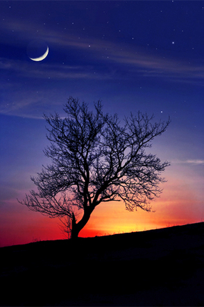 © Dmitry Kosterev for Dreamstime.com