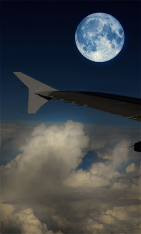 © Dzain for Dreamstime.com 