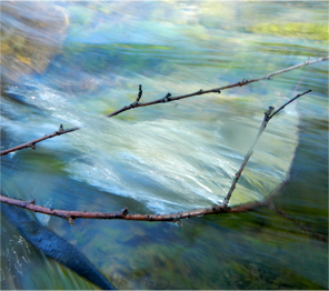 In the flow, by Gretchen Friedrich