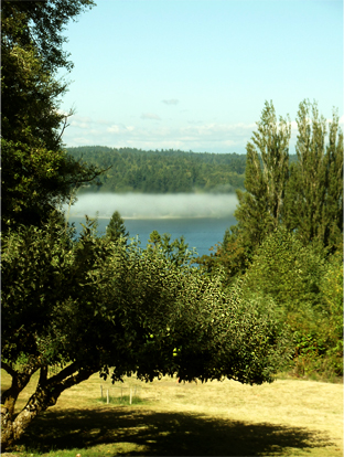 Cool fall morning. © Pat Paquette, 2014.