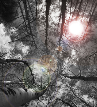 Late Summer Sun. © Gretchen Friedrich, 2014.