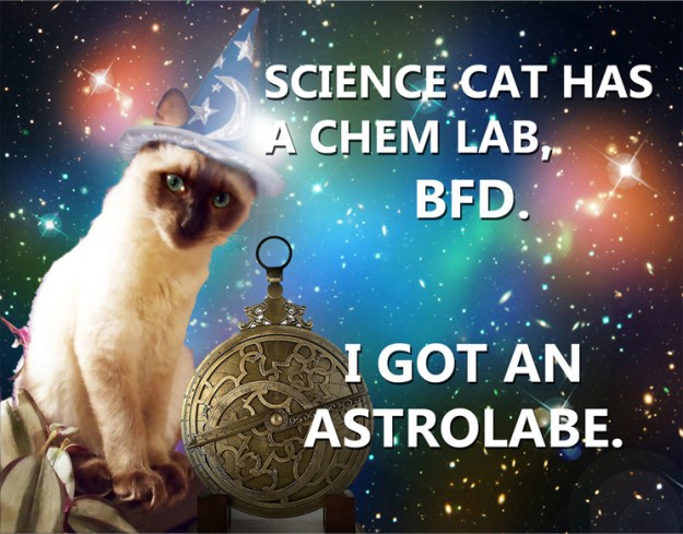 Astrology Cat takes on Science Cat