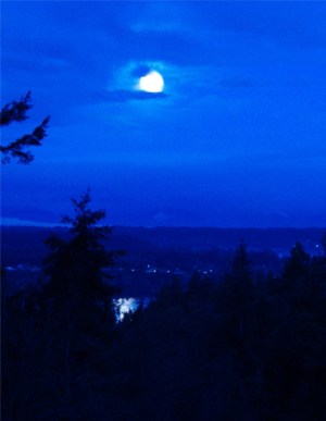 © Pat Paquette, 2014.