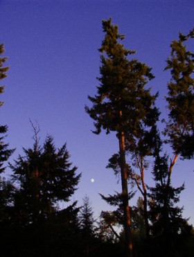 The Sky Is Definitely Blue.