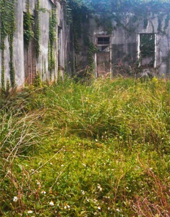 Secret Garden. © Gretchen Friedrich, 2015.